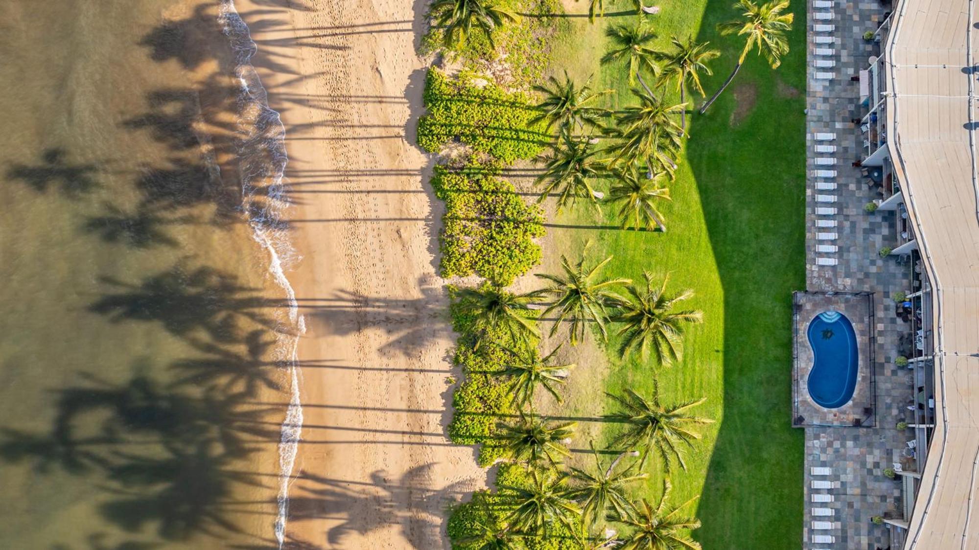 Apartmán Hale Kai O'Kihei 317 Exteriér fotografie