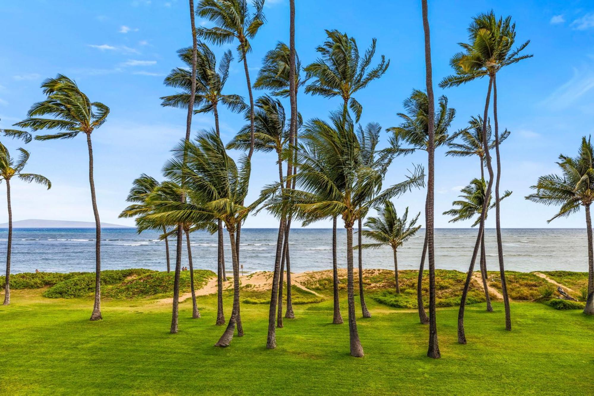 Apartmán Hale Kai O'Kihei 317 Exteriér fotografie